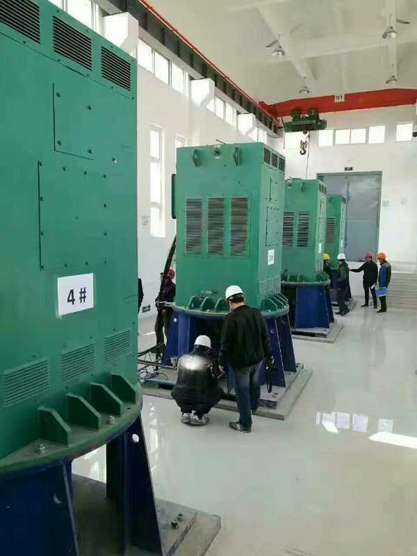 云南某污水处理厂使用我厂的立式高压电机安装现场生产厂家