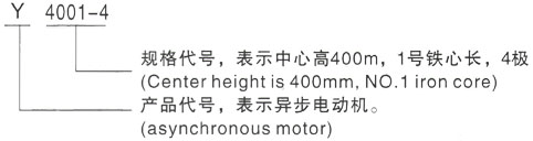 西安泰富西玛Y系列(H355-1000)高压云南三相异步电机型号说明